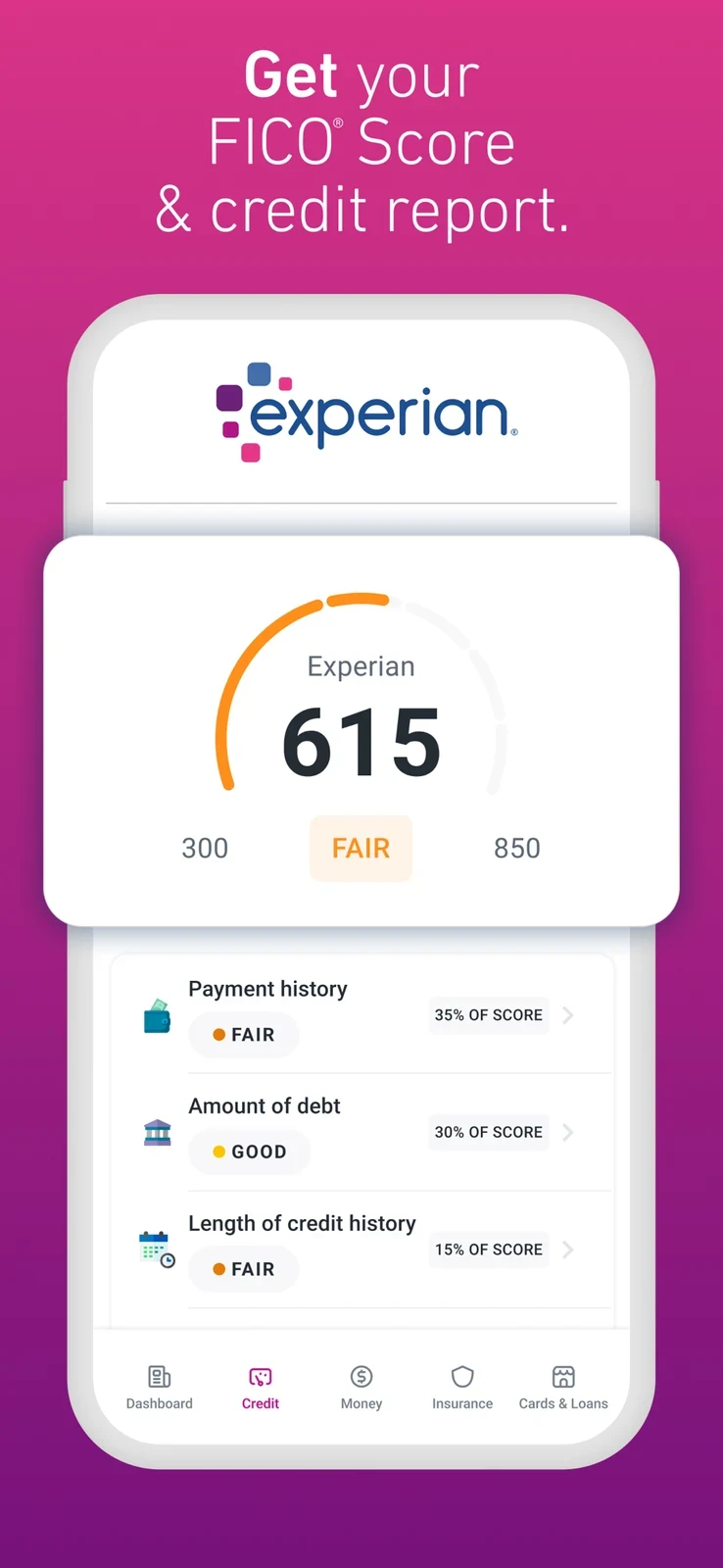 Experian, panel 2: A large score card appears above factor explanations.