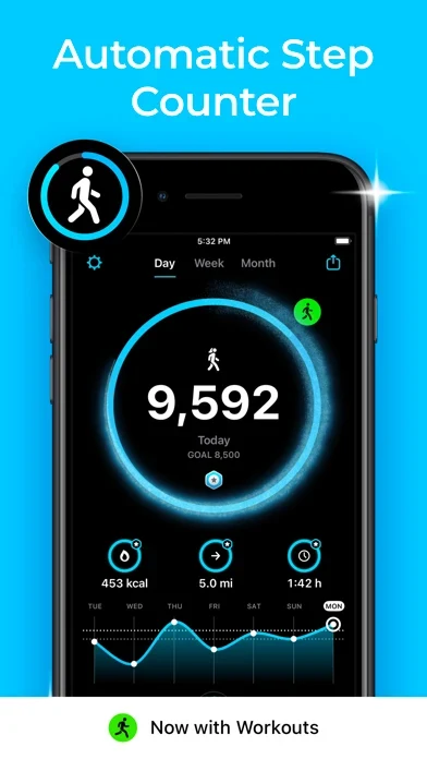 StepsApp App Store screenshot 1; select to inspect full size