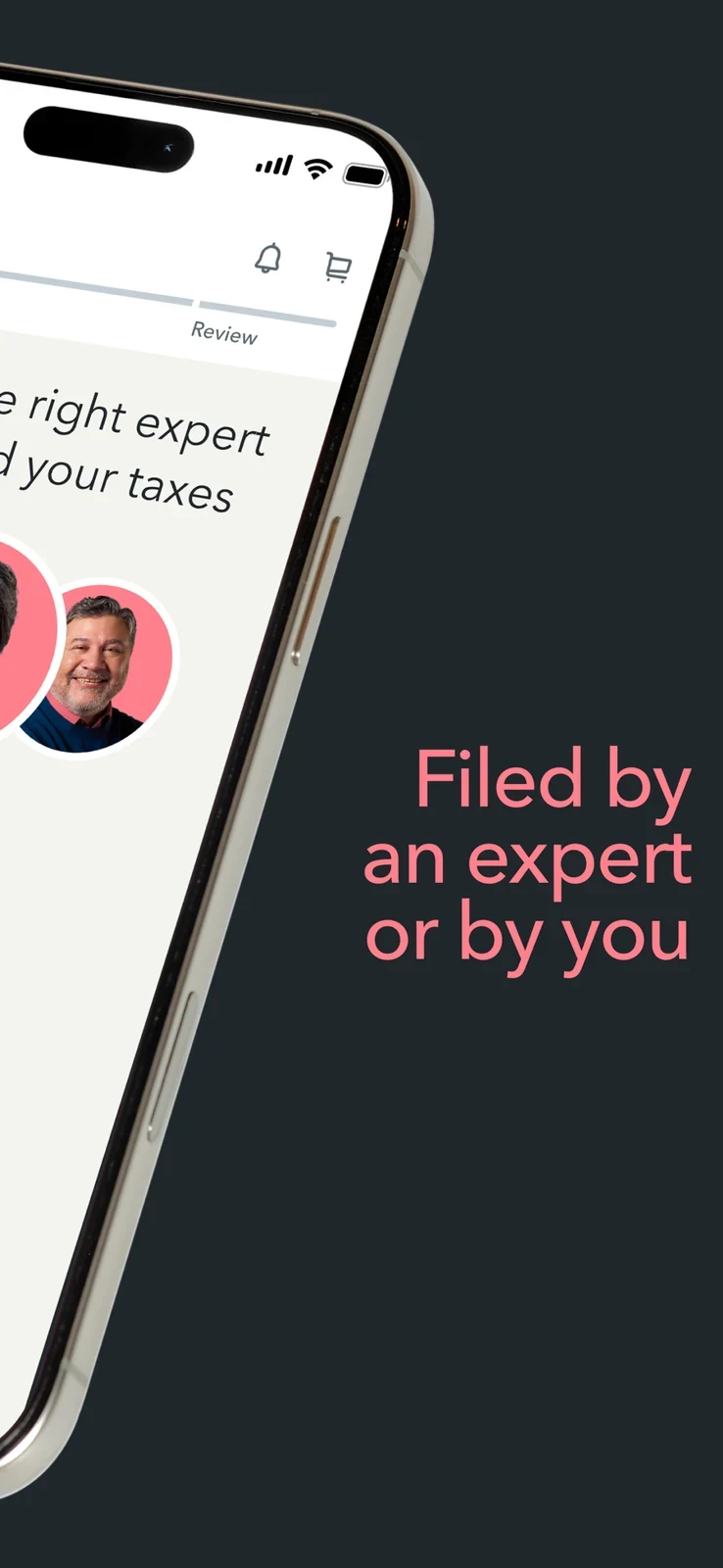 TurboTax: second half of panoramic interface with filing-mode message