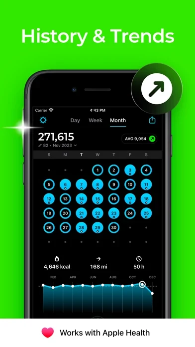 StepsApp App Store screenshot 3; select to inspect full size